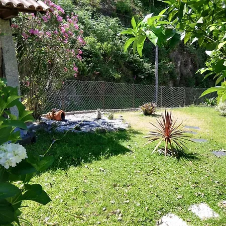 Casa De Casarelhos Appartement